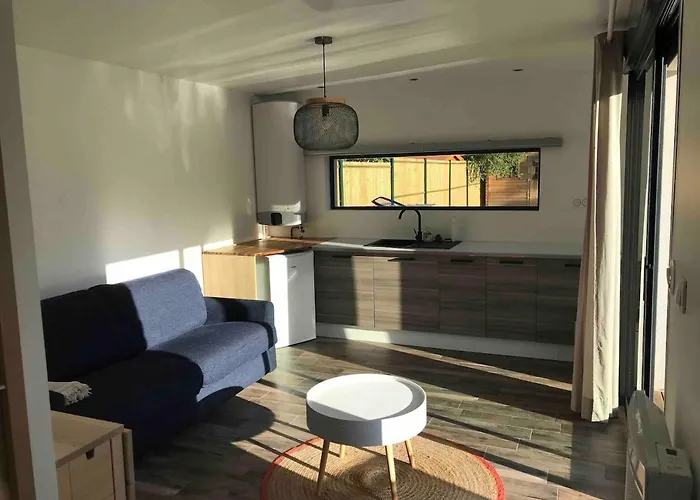 Avec Piscine Et Jardin Privatifs * Le Pian-Médoc