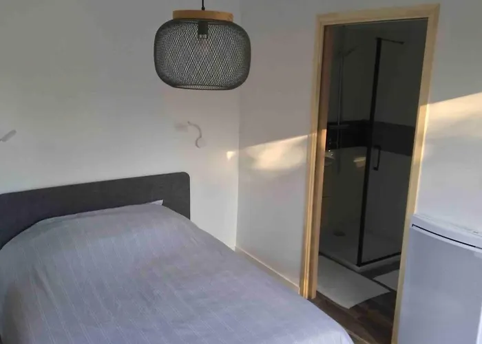 Avec Piscine Et Jardin Privatifs Сasa de vacaciones *